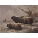 Charles Jones (1836-1892) Sheep in winter landscape oil on panel, monogrammed lower right, 17 x