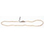 Antique seed pearl necklace, a single row of small pearls to a box engraved clasp set with three