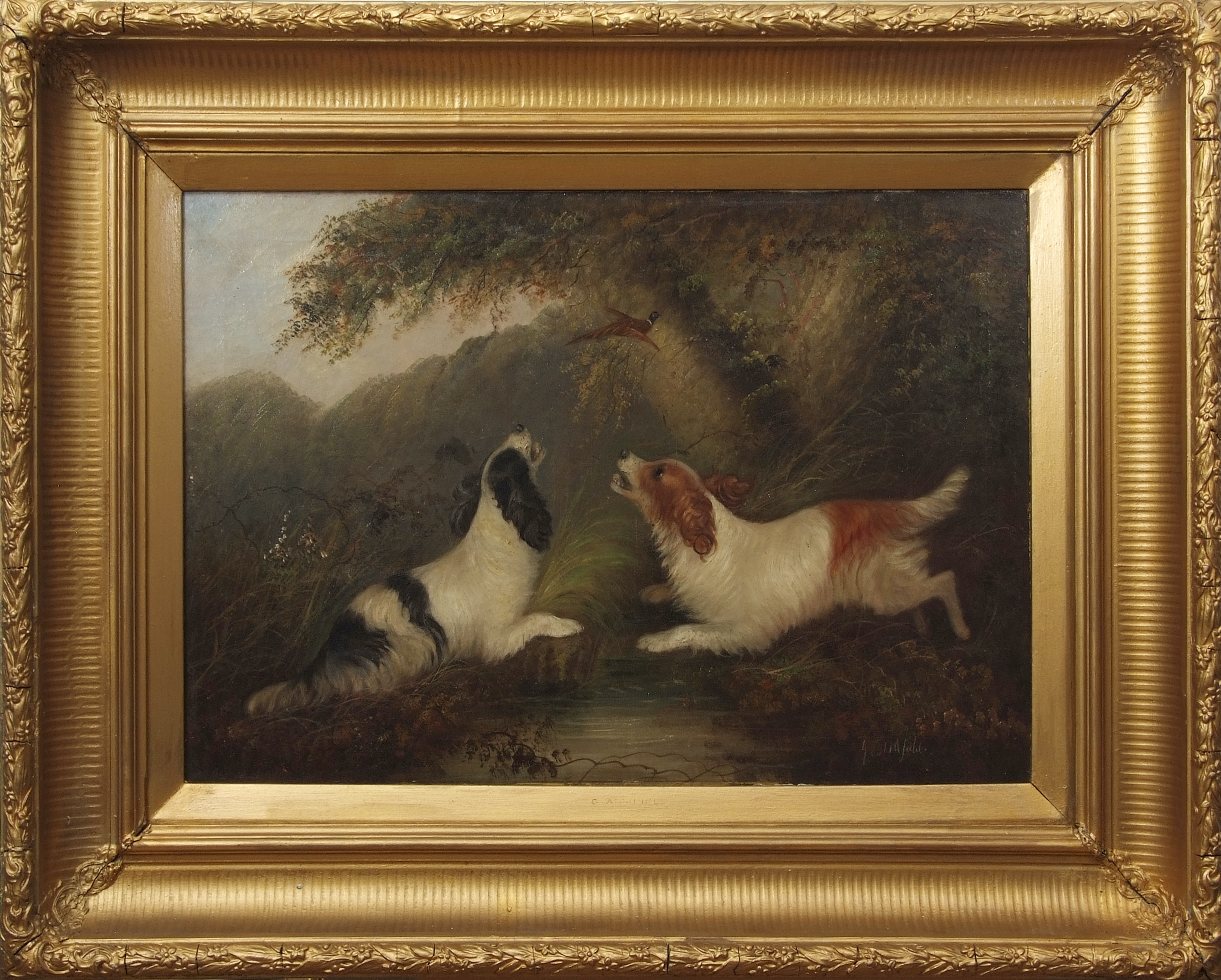 George Armfield (1808-1893) Spaniels chasing pheasant oil on canvas, signed lower right, 50 x 75cm