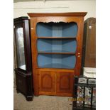 LARGE PINE AND PAINTED INTERIOR FLOOR STANDING CORNER CUPBOARD WITH TWO FIXED SHELVES OVER TWO
