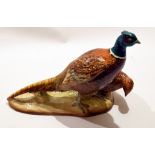 Group of a pheasant and a female, model no 2078