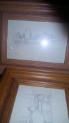 Four framed pencil drawingsa