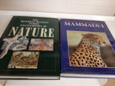 Qty large-format mainly modern titles -Natural History (5 books)