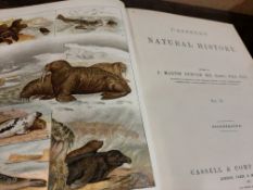 Cassell's Natural History 1891-1896, 5 volumes, 400 pages per vol, many hundreds illustrations, some