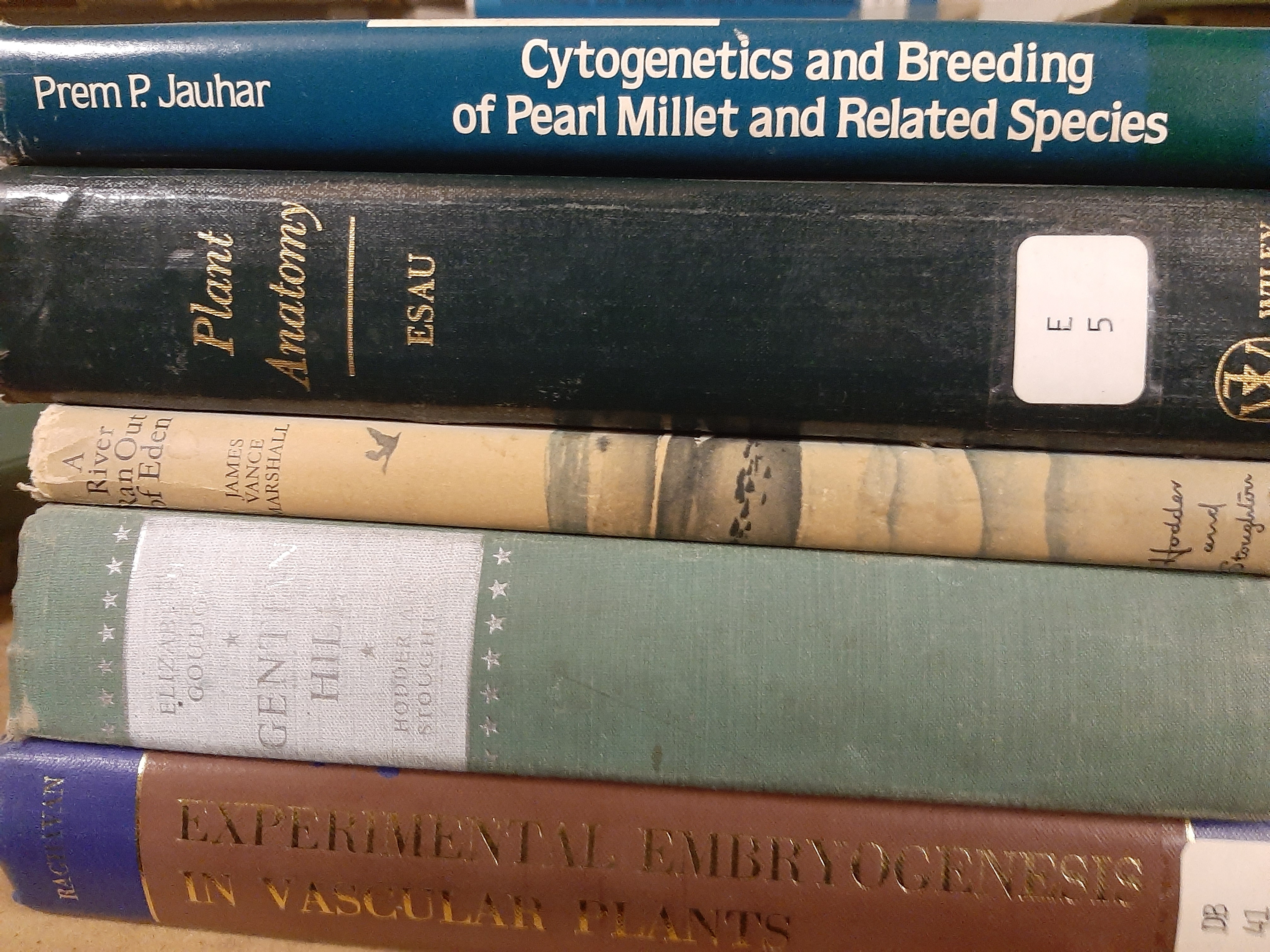 Collection of various Agriculture Books, rare as removed from library of Plant Breeding Institue - Image 2 of 2