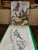 Collection of eight various Ornithology interest Books