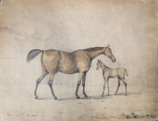 Attributed to Edwin Cooper of Beccles (1785-1833), Mare and Foal, pencil and wash, 28 x 38cm,