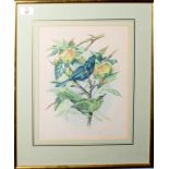 Miss J Bouvier (19th Century), Bird studies, group of 4 watercolours, all signed, 32 x 25cm, (4)