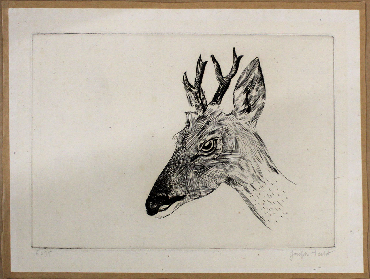 •AR Joseph Hecht (1891-1951), Deer head, black and white etching, signed lower right and numbered