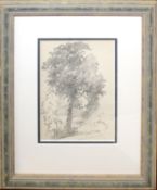 Ernest Sutton (1870-1944), Tree studies, pair of pencil drawings, 15 x 11 (2)