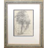 Ernest Sutton (1870-1944), Tree studies, pair of pencil drawings, 15 x 11 (2)