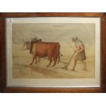 Continental school (19th century), Figure with oxen ploughing, watercolour, 35 x 52cm