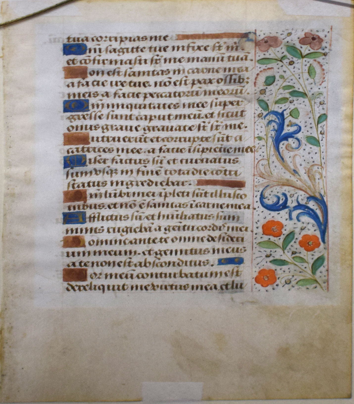 Fine illuminated manuscript page on vellum, from a 15th century Book of Hours, elaborate panel - Image 6 of 15