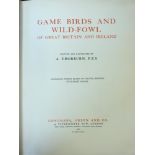 ARCHIBALD THORBURN: GAME BIRDS AND WILD-FOWL OF GREAT BRITAIN AND IRELAND, London, Longmans, Green &