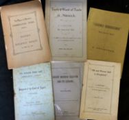 WALTER RYE: 6 titles: "LEASEHOLD ENFRANCHISEMENT" WHAT DOES IT MEAN?, [Norwich Agas Goose], 1891,