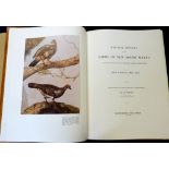 JOHN WILLIAM LEWIN: A NATURAL HISTORY OF THE BIRDS OF NEW SOUTH WALES..., ed Allan McEvey,