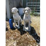 PAIR OF CAST GARDEN FIGURES OF SEATED HOUNDS