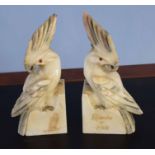 Pair of alabaster models of parrots, one inscribed "Recordo de Pisa" (2)
