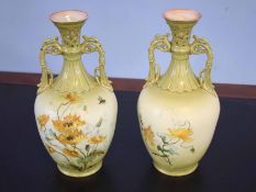 Pair of Continental porcelain vases decorated with flowers and insects, the base marked "Turn