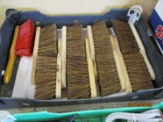 Tray containing as new outdoor brushes