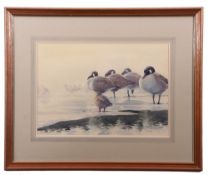 •AR Frederick J Watson (20th Century), Greylag Geese, watercolour, signed and dated '86 lower right,