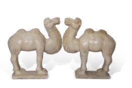 Pair of 20th century marble models of camels standing on integral bases, 50cm high