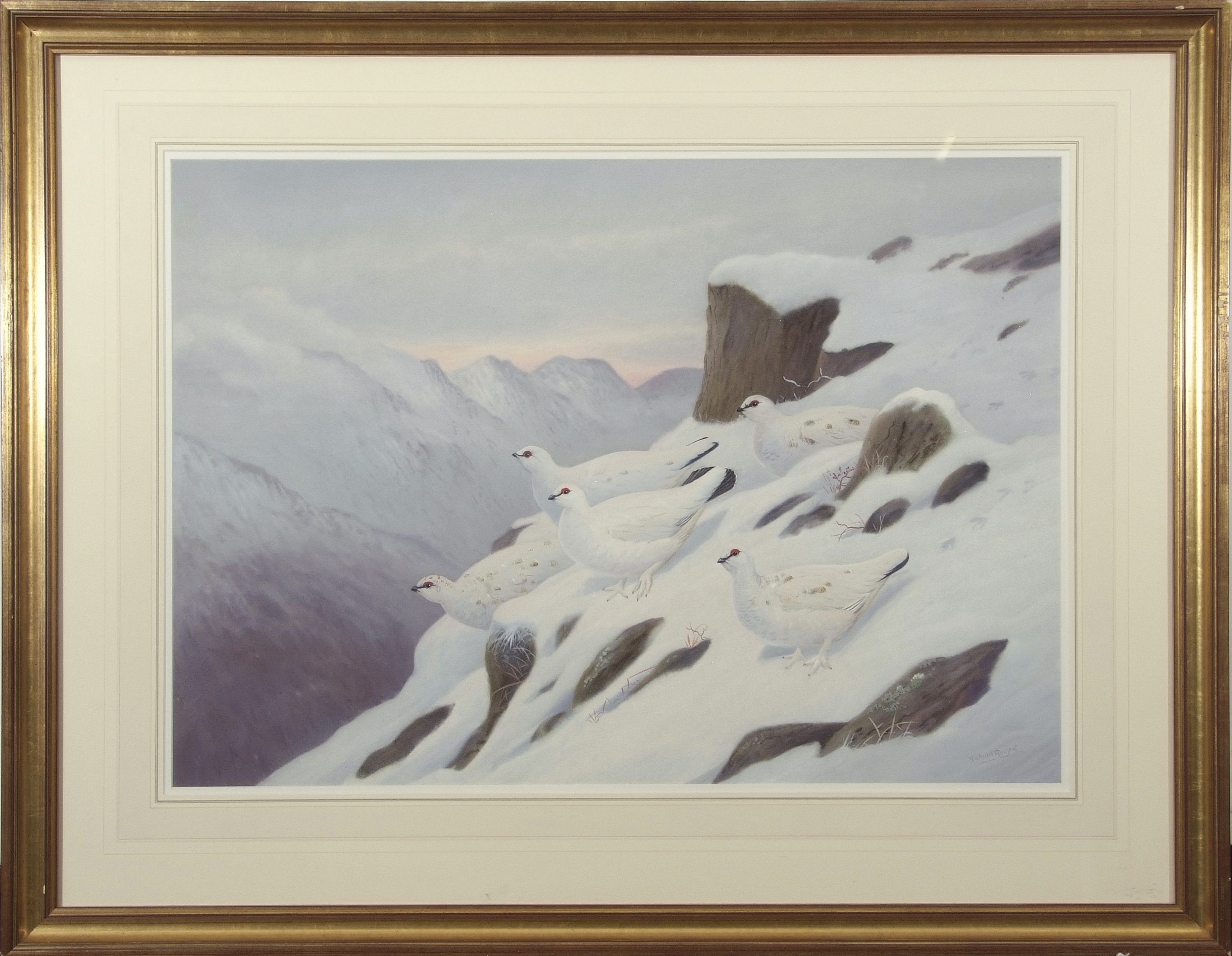 •AR Richard Robjent (b1937), Winter Ptarmigan, watercolour, signed lower right, 61 x 85cm