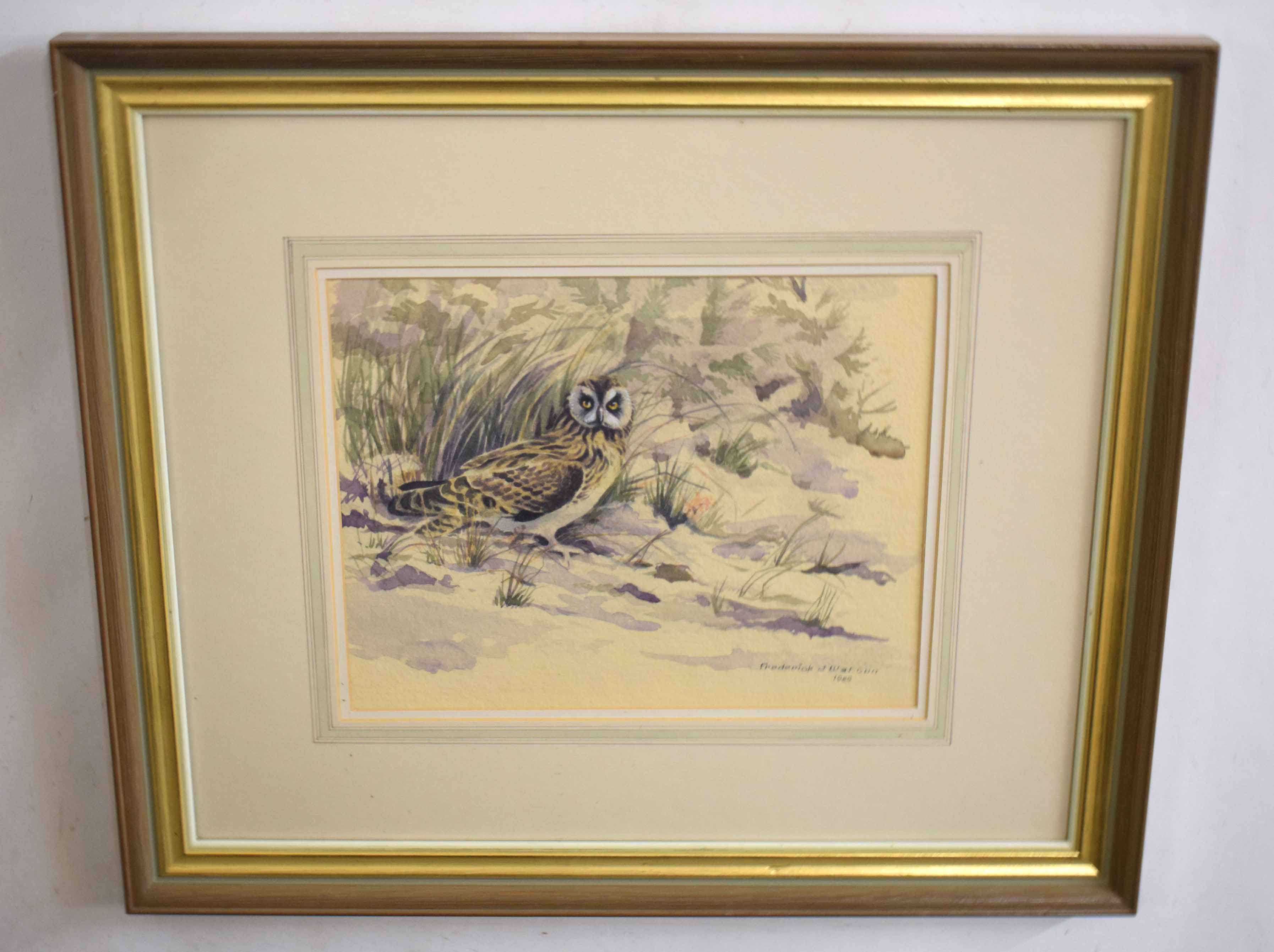 •AR Frederick J Watson (20th Century), Little Owl in Landscape, watercolour, signed and dated 1985 - Image 2 of 2