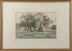 Thomas Sidney Cooper (1803-1902), Landscape with sheep, watercolour, signed lower right, 15 x 24cm