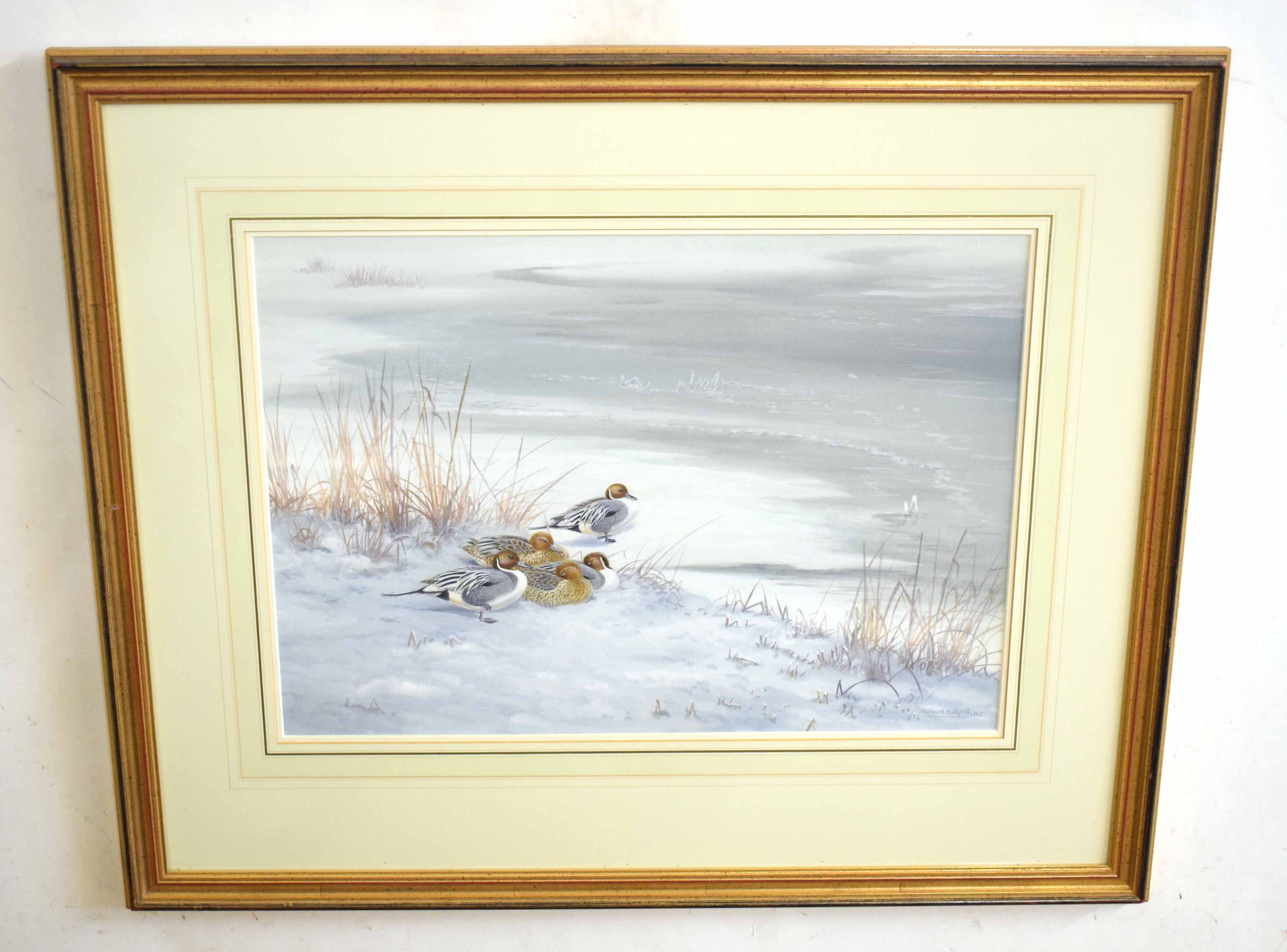 •AR Richard Robjent (Born 1937), Long-tailed Ducks in Winter, watercolour, signed and dated 1985 - Image 2 of 2