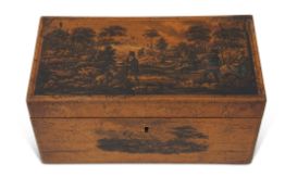 19th century satinwood caddy box of rectangular form, the lid well decorated with sporting scene