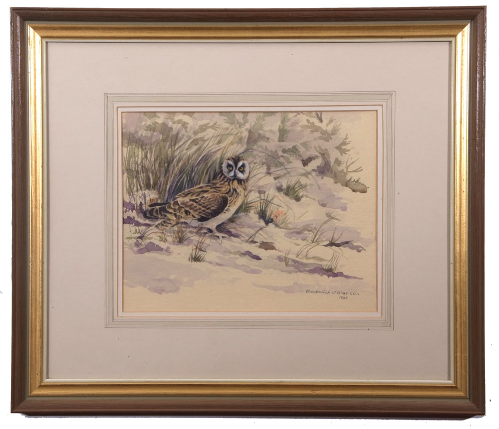 •AR Frederick J Watson (20th Century), Little Owl in Landscape, watercolour, signed and dated 1985