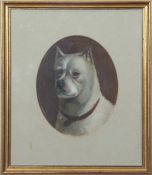 Circle of Edwin Loder (1827-1885), 'Bruce, a Fighting Dog', oil on board, 22 x 17cm, oval