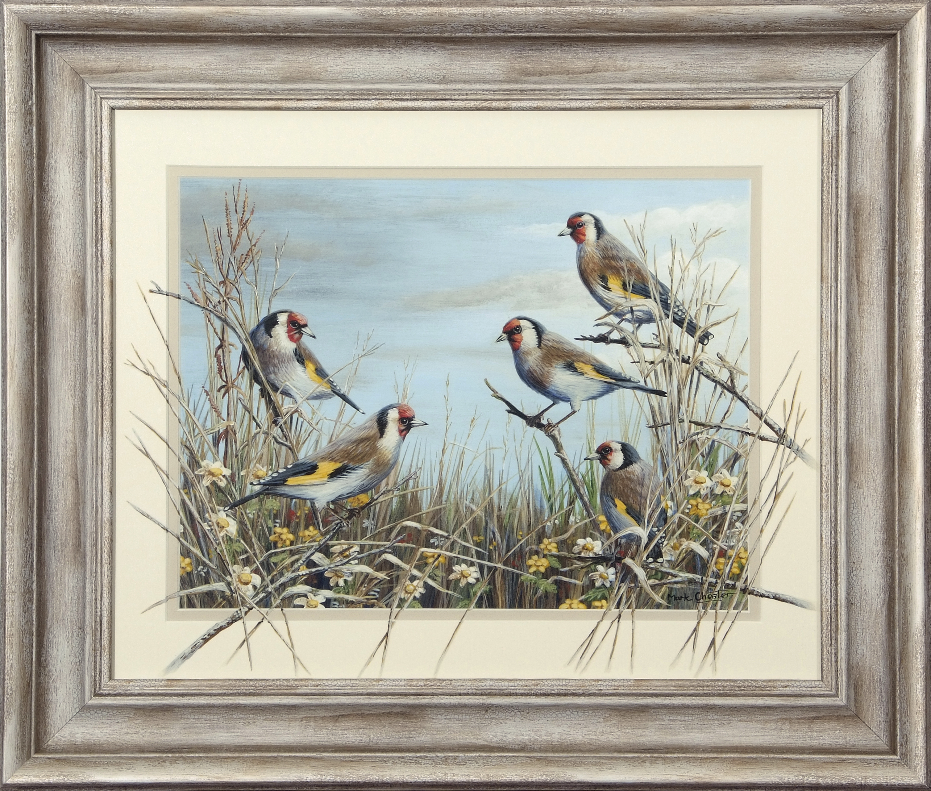Mark Chester (contemporary), "Summer Charm - Goldfinches", acrylic, signed lower right, 24 x 32cm