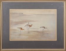•AR Roland Green (1896-1972), Waders, watercolour, signed lower left, 32 x 48cm