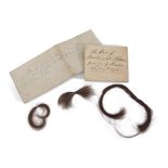 Two paper packets purporting to contain Nelson's hair, the first containing two small lengths,