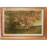 Charles Mayes Wigg (1889-1969), Tree study, oil on canvas, signed lower left, 39 x 59cm