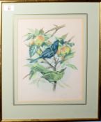 Miss J Bouvier (19th Century), Bird studies, group of 4 watercolours, all signed, 32 x 25cm, (4)
