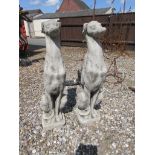 PAIR OF UPRIGHT CONCRETE WHIPPETS, 75CM TALL
