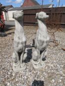 PAIR OF UPRIGHT CONCRETE WHIPPETS, 75CM TALL