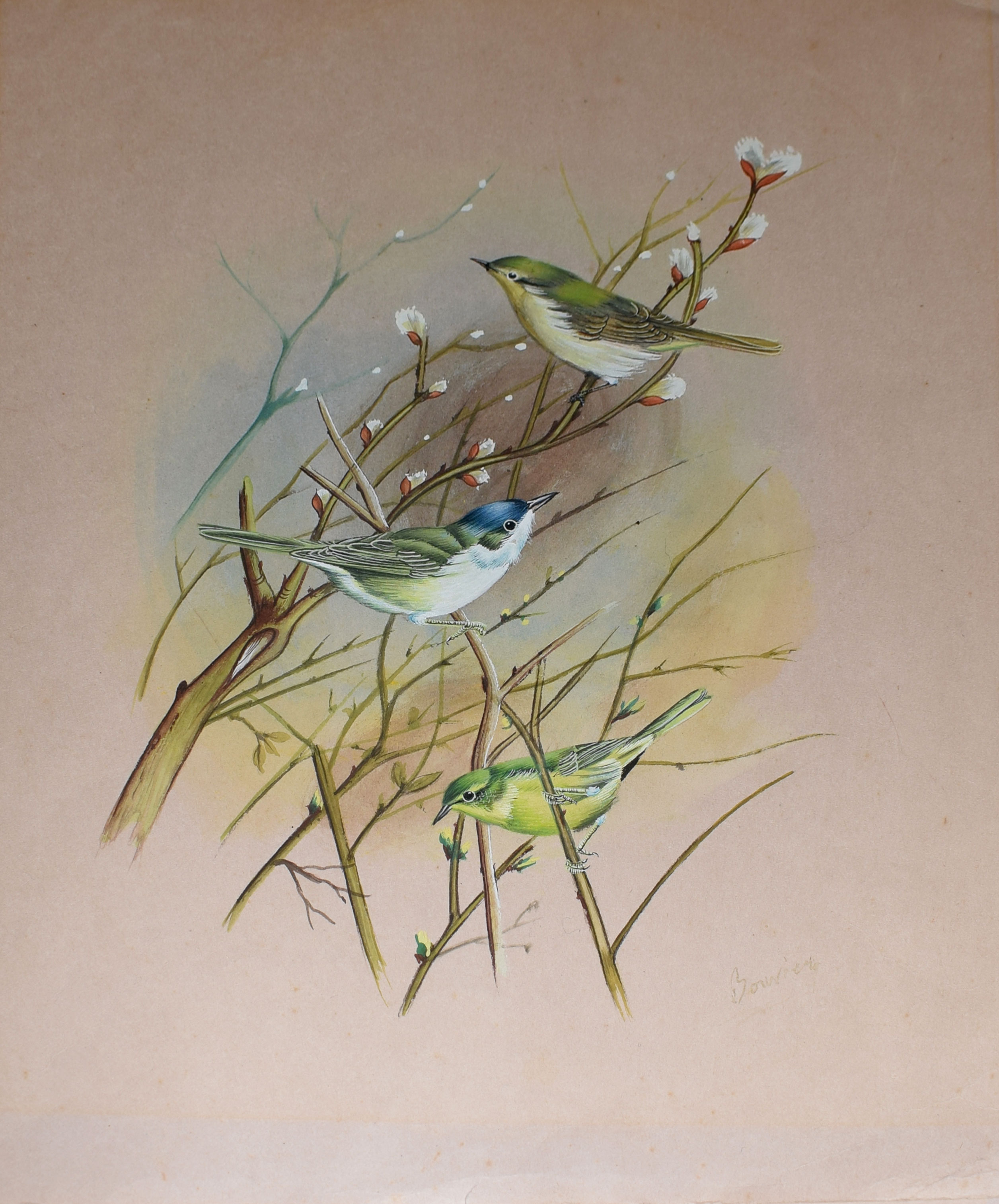 Bouvier, Black Cap, Warblers and Goldfinches, two watercolours, both signed, 34 x 27cm, both - Image 2 of 2