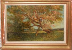 Charles Mayes Wigg (1889-1969), Tree study, oil on canvas, signed lower left, 39 x 59cm