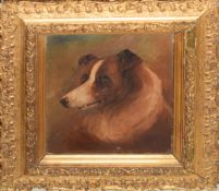 Victorian School, Head of a dog, oil on canvas, indistinctly signed and dated lower left, 18 x 14cm