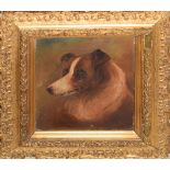 Victorian School, Head of a dog, oil on canvas, indistinctly signed and dated lower left, 18 x 14cm