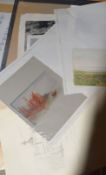 Box containing a large quantity of Prints, Watercolours etc