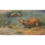 F J S Chatterton, Otters on a riverbank, watercolour, signed and dated 1909 lower left, 16 x 23cm