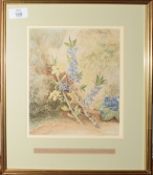 George Fitt, Daphne Mezereon, yellow jasmine and viola, watercolour, inscribed beneath, 21 x 18cm