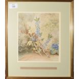 George Fitt, Daphne Mezereon, yellow jasmine and viola, watercolour, inscribed beneath, 21 x 18cm