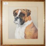 Lawrence F Leeks, "Billy Boy (boxer dog)", watercolour, signed lower right, 34 x 26cm