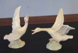 Two Lladro models of swans (2)